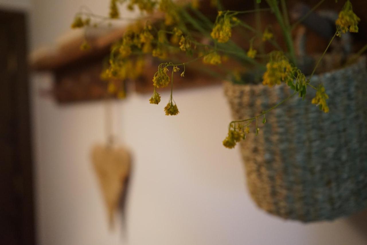 Apartamento Con Jardin En La Cerdanya Err Εξωτερικό φωτογραφία